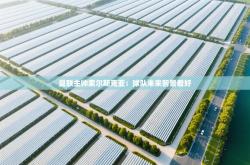 曼联主帅索尔斯克亚：球队未来前景看好