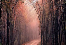 沙尔克客场作战,险胜对手