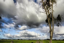 强队对决,赛场气氛火爆异常