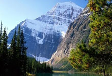 强队对决,赛场气氛火爆异常